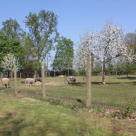 Beej Potters Bed & Breakfast เวียต์ ภายนอก รูปภาพ